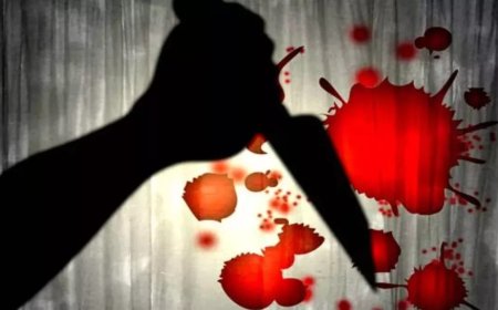 प्रयागराज मे चोरी की नीयत से घुसे बदमास ने किया चापड़ से हमला