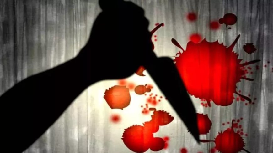 प्रयागराज मे चोरी की नीयत से घुसे बदमास ने किया चापड़ से हमला