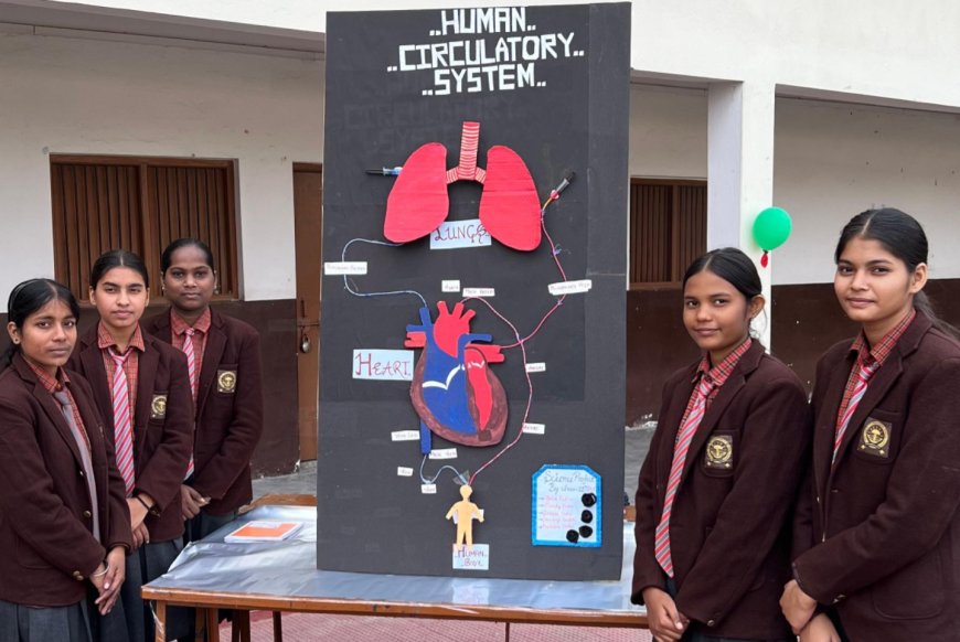 लालसा इंटरनेशनल स्कूल की खेल एवं विज्ञान प्रदर्शनी 2025 बच्चों की प्रतिभा का अद्भुत प्रमाण